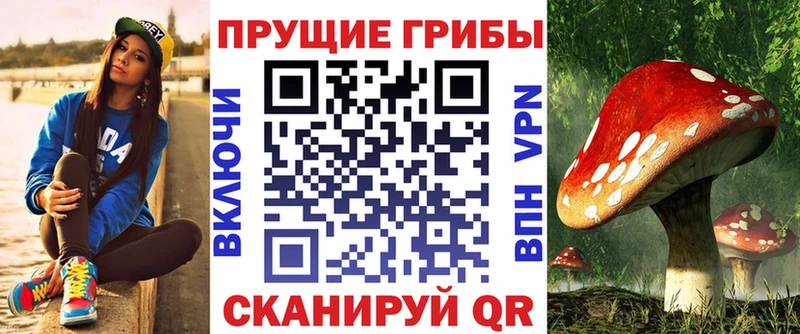 купить наркоту  Гаврилов-Ям  Псилоцибиновые грибы MAGIC MUSHROOMS 