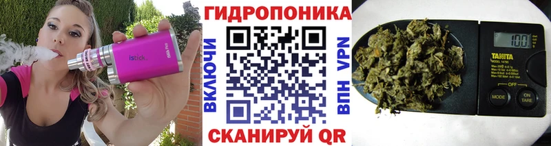 Канабис сатива Гаврилов-Ям